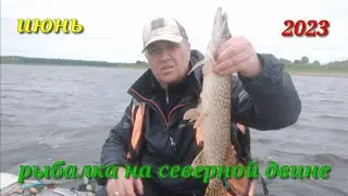 Отличные выходные. Рыбалка с ночёвкой.