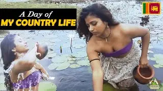 A day of my country life (මගේ ගම්බද ජීවිතයේ දවසක්) | Sri Lanka | 2022