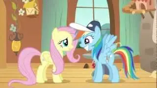 Fluttershy and Rainbow Dash's Relationship