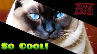 SO COOL! ~ THEY DID BRO DIRTY...