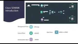 Cisco SDWAN: Everything You Need to Know - Part 1