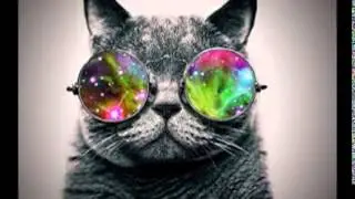 красивые картинки (без звука)