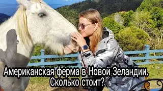 Поездка в деревню/ Выходные за городом/ Рум тур/ Сколько стоит отдых в Новой Зеландии