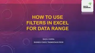 How to use Filters in Excel ?