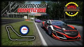A Costly Mistake || Triwal SimRacing GT3 Season 8 Week 2 || Autodromo Nazionale Monza || Honda NSX