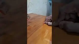 slow motion filp it over #trend #trending #best #trendingshorts #trendingstatus