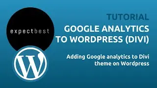 How To Add Google analytics to WordPress | Adding to Divi theme