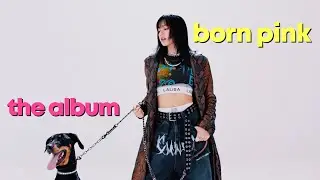 shut down was interesting (born pink review)
