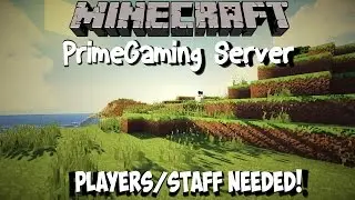 PrimeGaming Server | Players/Staff Needed (Minecraft) (Hiring will stop soon Hurry!)