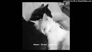 Нервы - Её имя ♡ speed up ♡