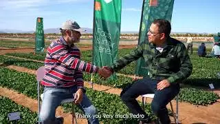 Charla con el Pedro Ros - CEO, ROYALVEG (ES)