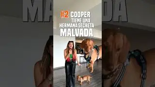 Cooper tiene una hermana gemela MALVADA 👹🐶