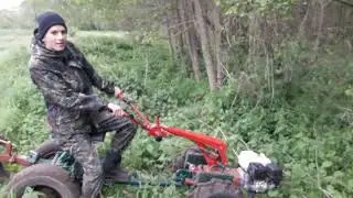Майнинг корнеклубней от А до Я