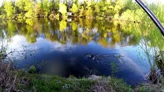Весенние ЛОПАТЫ на реке  Рыбалка