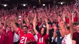 Bird Gang Remix 2014