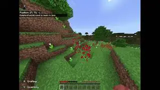Random world pvp allowed minecraft bedrock