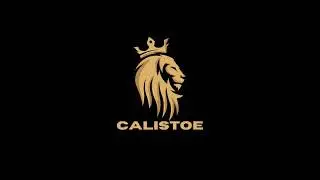 Calistoe street workout pilot compilation