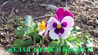 БЛАГОДАРЯ!!!  धन्यवाद