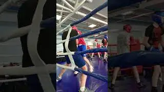 16 июня 2024 г.