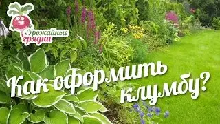 Как оформить клумбу? Что посадить возле газона? 