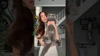 Мой батон 😁 #котбарон