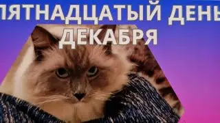 755. ДЕКАБРЬ 2023. ДЕНЬ 15Й. ОБЗОРНО-ГОСТЕВОЙ.