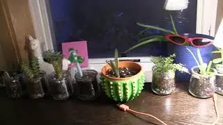 Room Tour