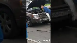 Спасение кошки
