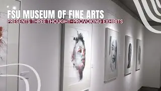 Museum of Fine Arts Unveils Three New Exhibits