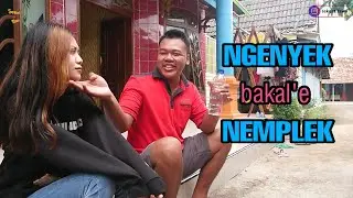 NGENYEK NEMPLEK - SeKuat Tawa