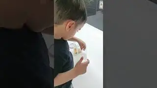 Çocuk Deneyleri- Dans Eden Mısırlar Deneyi
