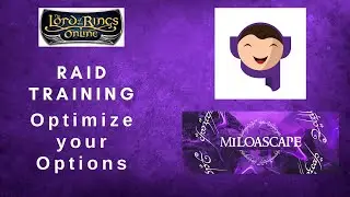 LOTRO | Optimize your Raid Settings
