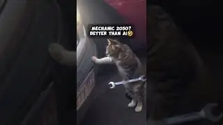 Clips You Can Only See Once (Part 10) | Rapid History