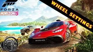 Forza Horizon 5 Wheel Settings, FFB Setup