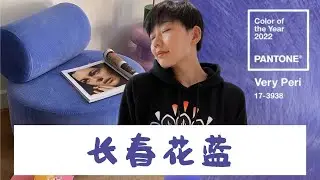 2022 年度颜色 长春花蓝 Very Peri ｜如何在家里使用｜和什么颜色搭配才好看？｜How to Style Very Peri at Home ?