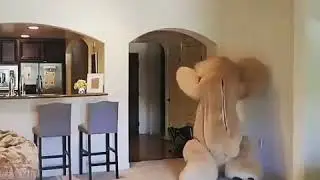 😂😂😂
