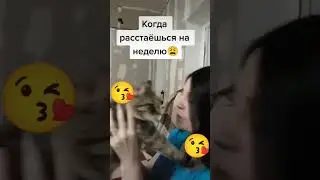 СО ЗВУКОМ! ЛЮБИМАЯ КОШЕЧКА🥰
