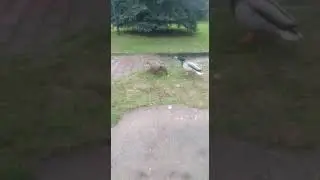 Пансионат для проживания пожилых