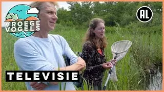 Op zoek naar bijzondere libellen | TV | Vroege Vogels