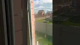 6 мая 2024 г.