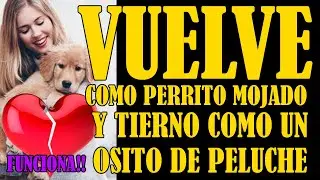 VUELVE VUELVE! COMO PERRITO MOJADO Y TIERNO COMO UN OSITO DE PELUCHE!🙏🕯😱👈