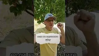 Ударили по одной щеке подставь другую 