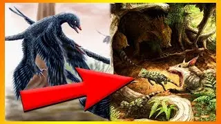 9 Af Fortidens Mindste Dinosaurer