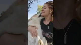 Cuddling a fluffy marshmallow
