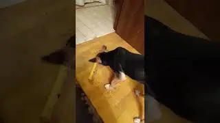 дуем днем на районе