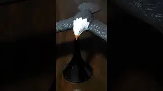 how does it do that??