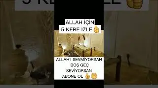 Peygamber Efendimiz Evi