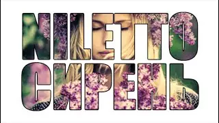 NILETTO - сирень