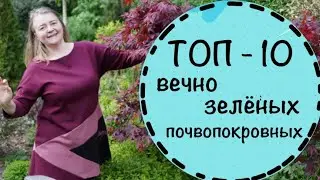 ☘️ТОП 10 любимых многолетников мая в моём саду. ☘️Условия выращивания и сочетания.☘️Май 2023