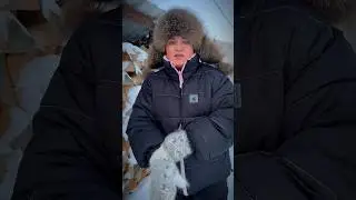 Топим печку дровами. 
